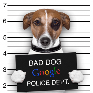Google-Police